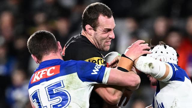 Familiar foes: the true parallels between Dogs, Penrith