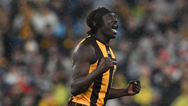 Hawthorn forward hit with lengthy AFL suspension