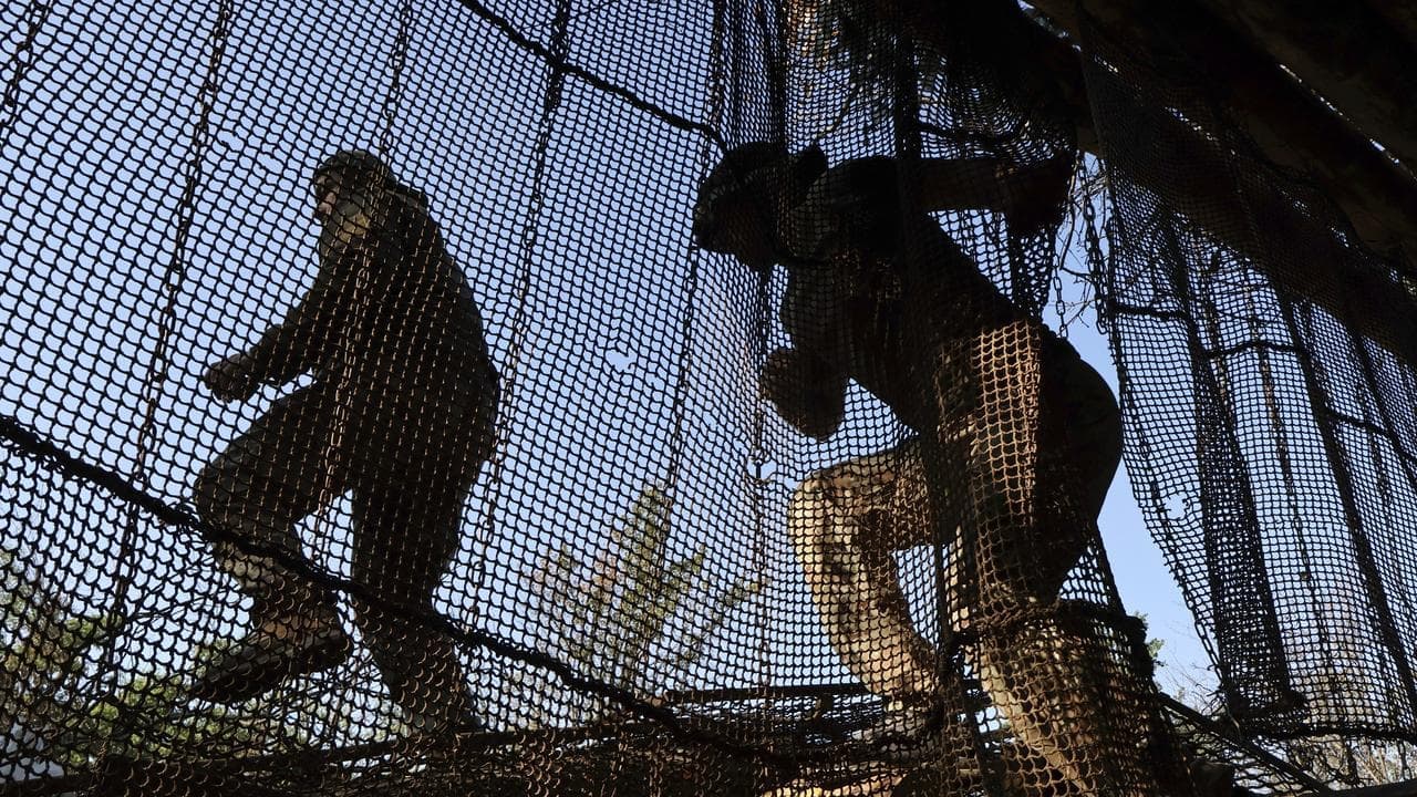 Ukraine, Russia attacks kill four civilians: officials