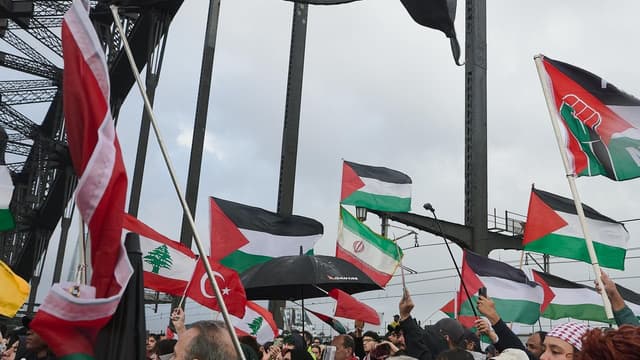 Coalition accused of going 'rogue' on Palestine stance