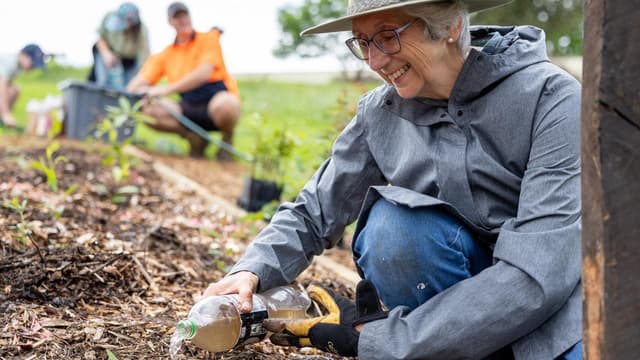 Tiny forests breathe life and hope into urban Australia