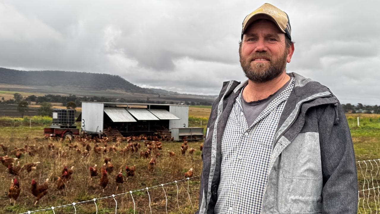 'Not the cow, the how': calls to overhaul food system