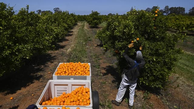 'Living in a box': farm workers reveal dire conditions