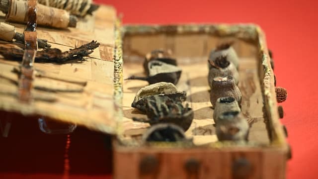 Exhibition celebrates power of Indigenous healing