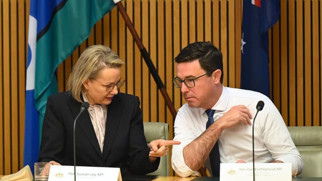 'Sort it out', junior coalition partner tells Liberals