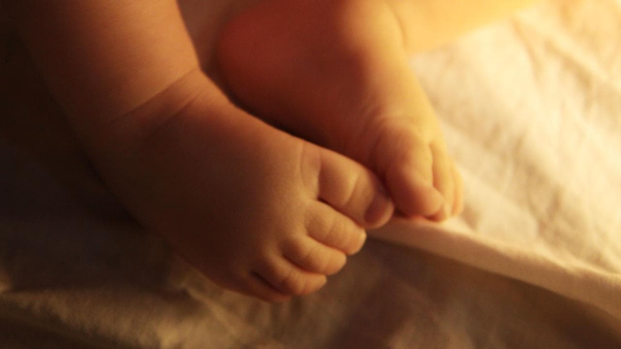 Six-week-old Priya set to impact 'countless lives'