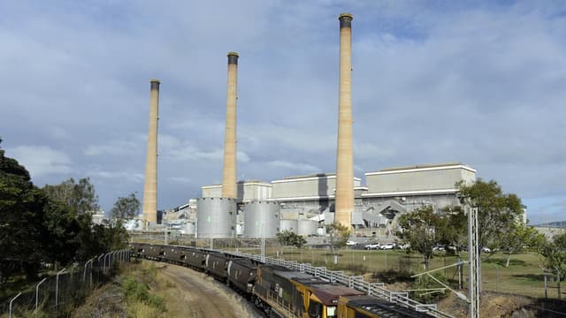'For the birds': doubt ageing coal plants can go longer