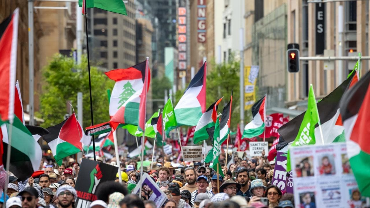 AI image shared with false claim about pro-Palestine protest