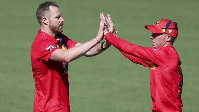 SA's McSweeney stars in one-day win against Queensland