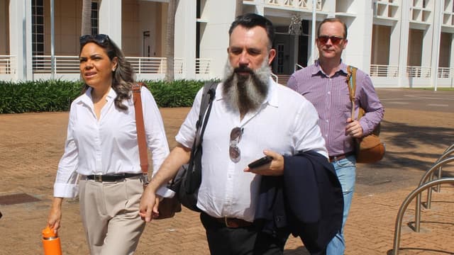 Senator targeted council head for 'political purposes'