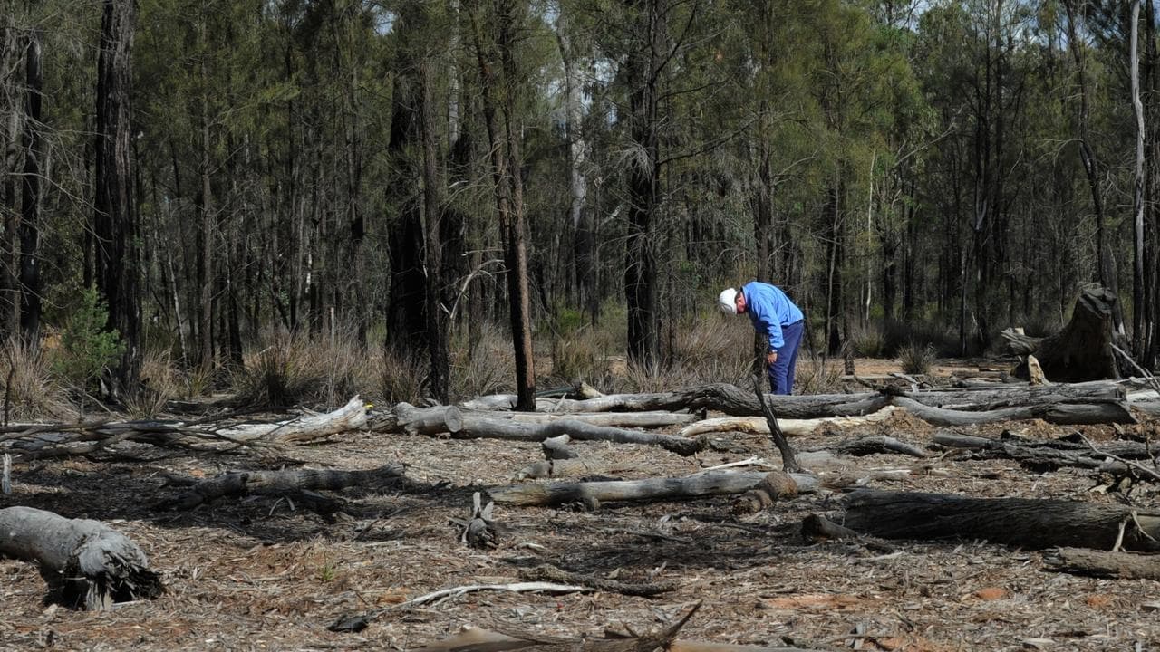 'Get on board': minister's environment overhaul appeal