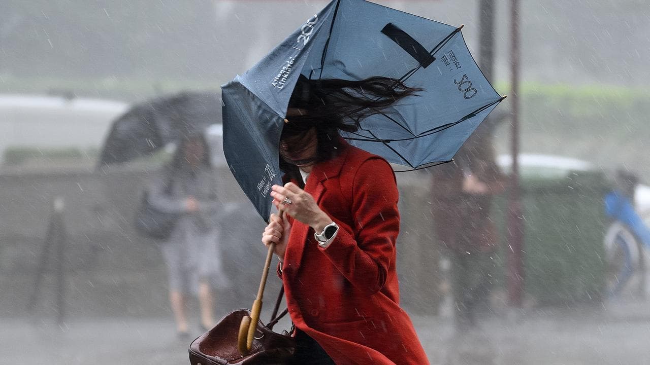 Demands for review of BOM site after mass complaints