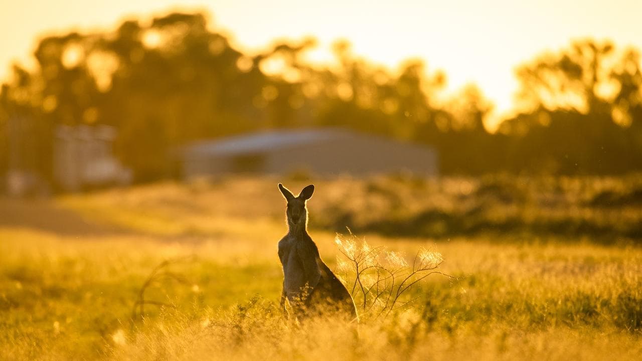 Nature's recovery, not decline, promise of major reform