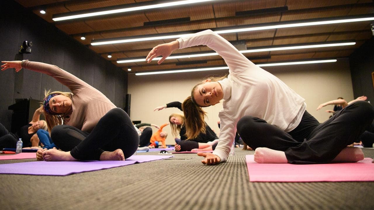 No, government has not brought in more yoga teachers than builders