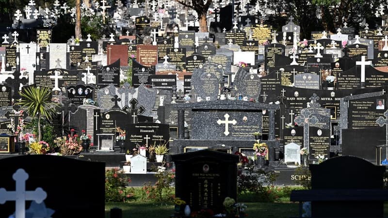 Migration isn't hiding deaths linked to vaccines: experts