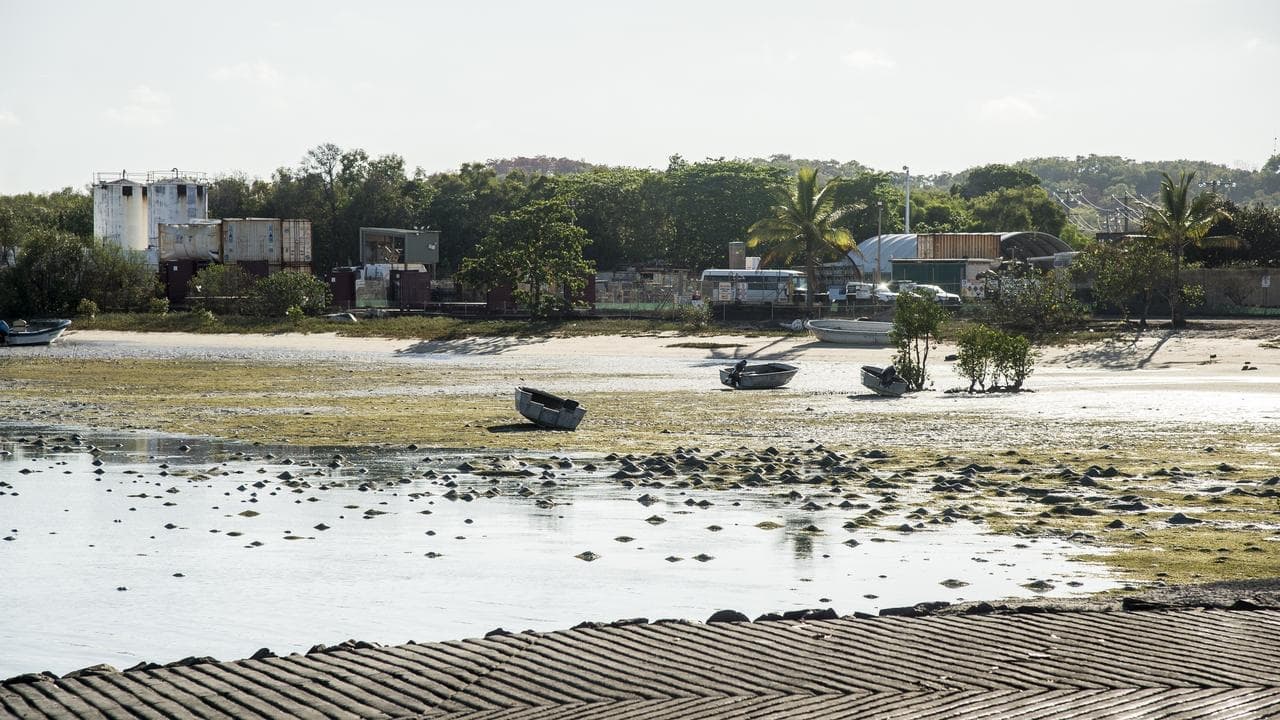 Golden eye on northern island after spot price surge