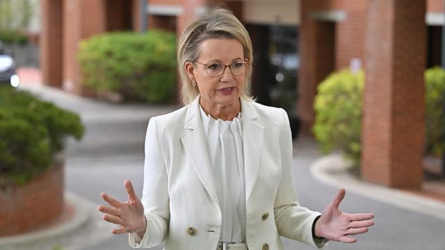 Ley downplays leadership talk, insists party 'united'