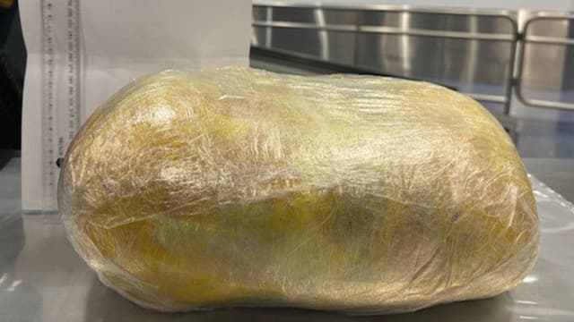 Dodgy traveller admits to having large package in pants