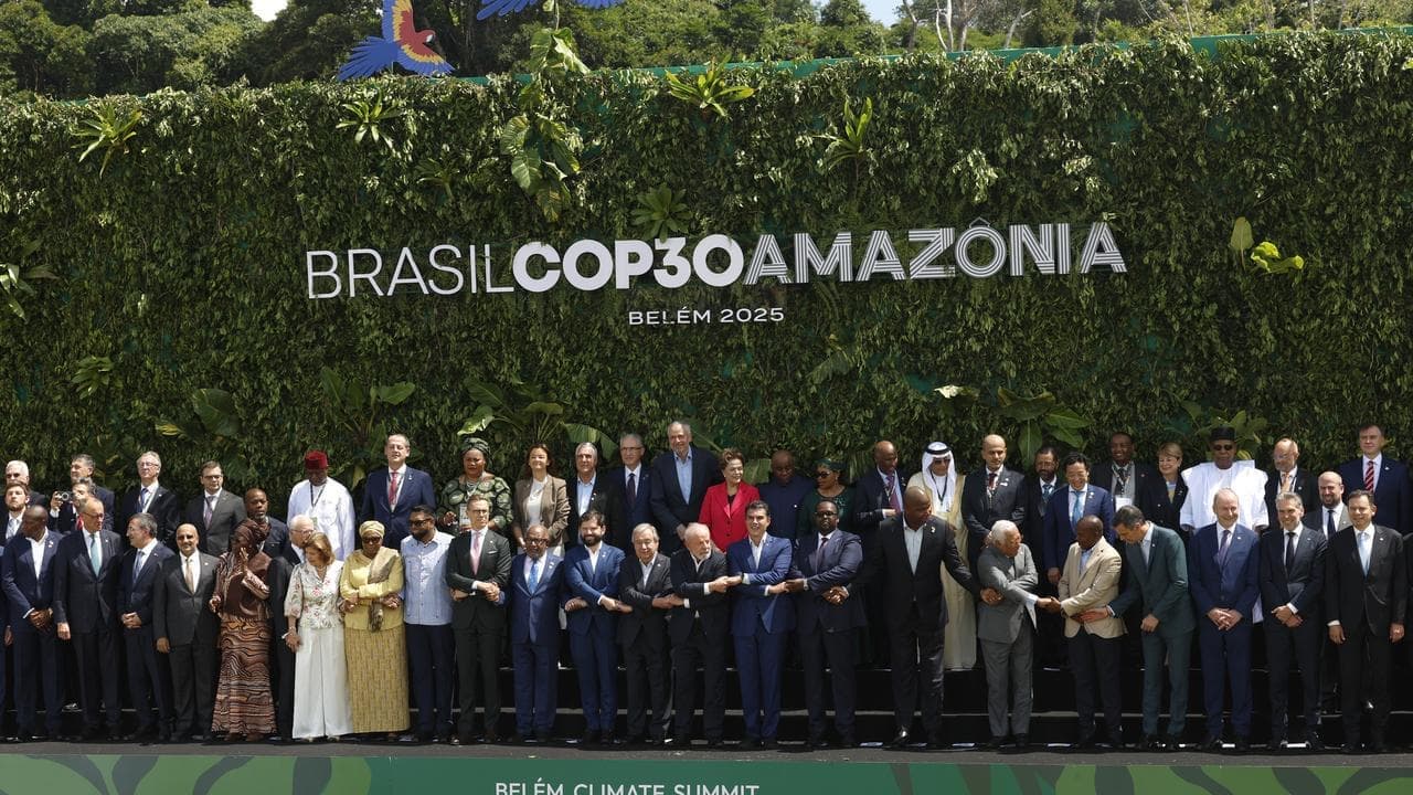 Germany supports Brazil's forest plan at climate talks