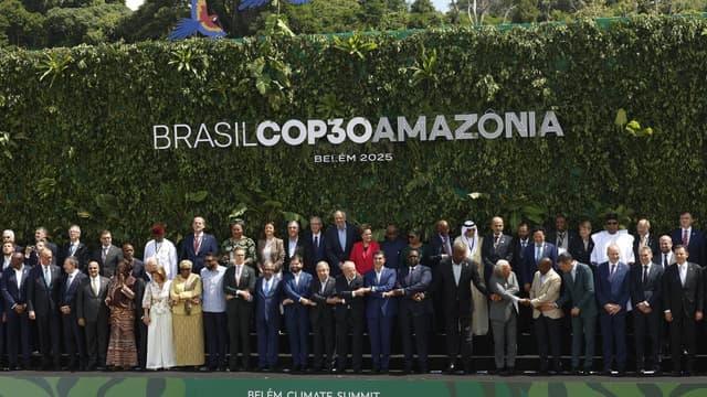 Germany supports Brazil's forest plan at climate talks