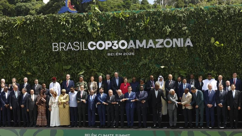 Germany supports Brazil's forest plan at climate talks