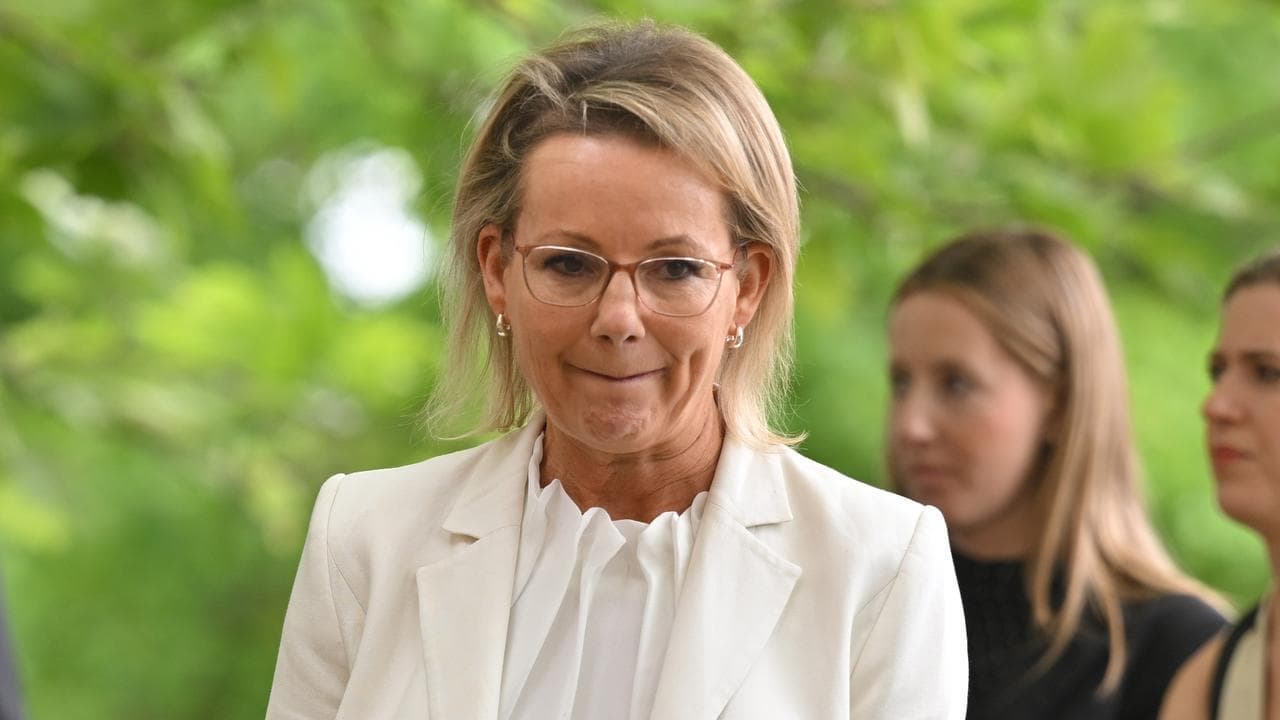 'Threading a needle': Libs prepare for net zero fight