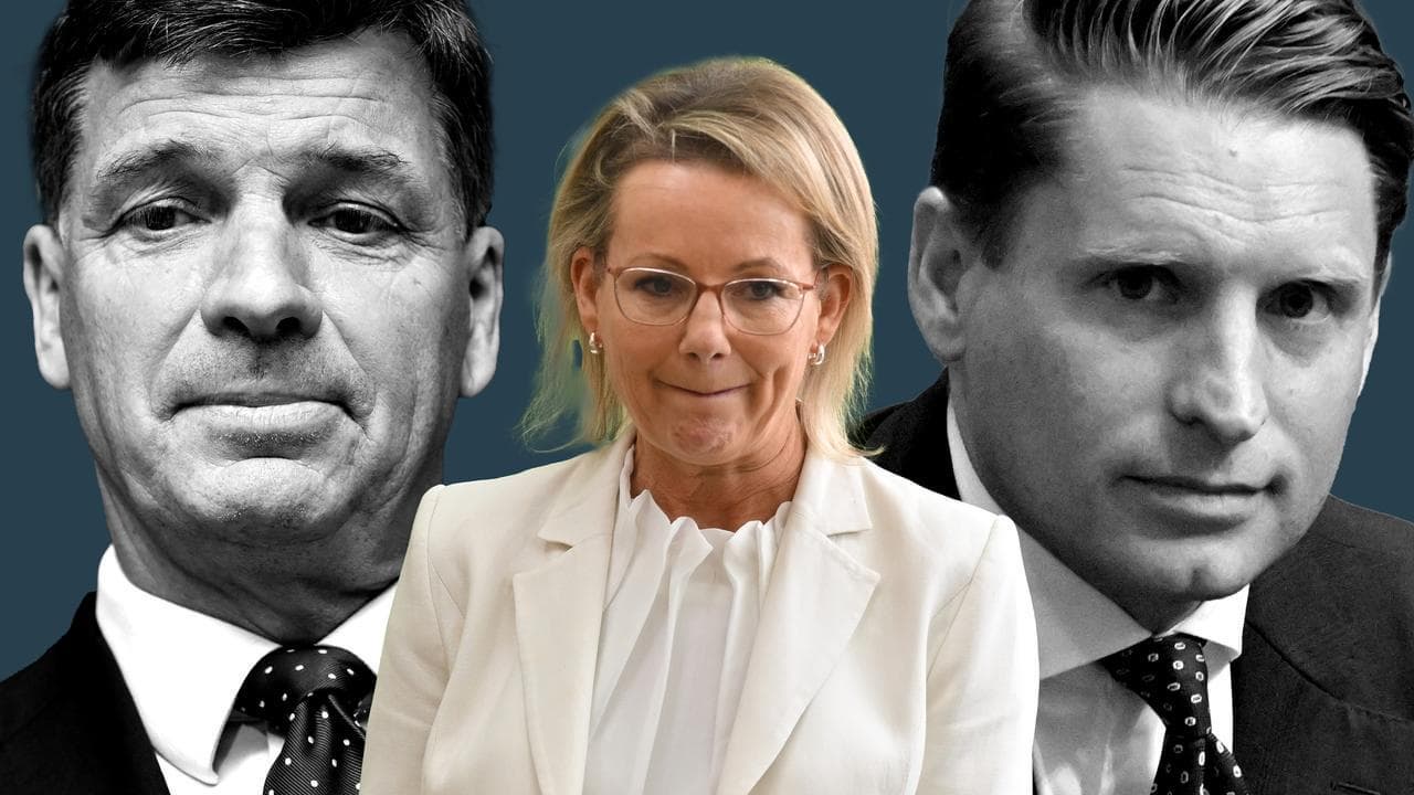 Conservatives in show of force before net-zero meeting