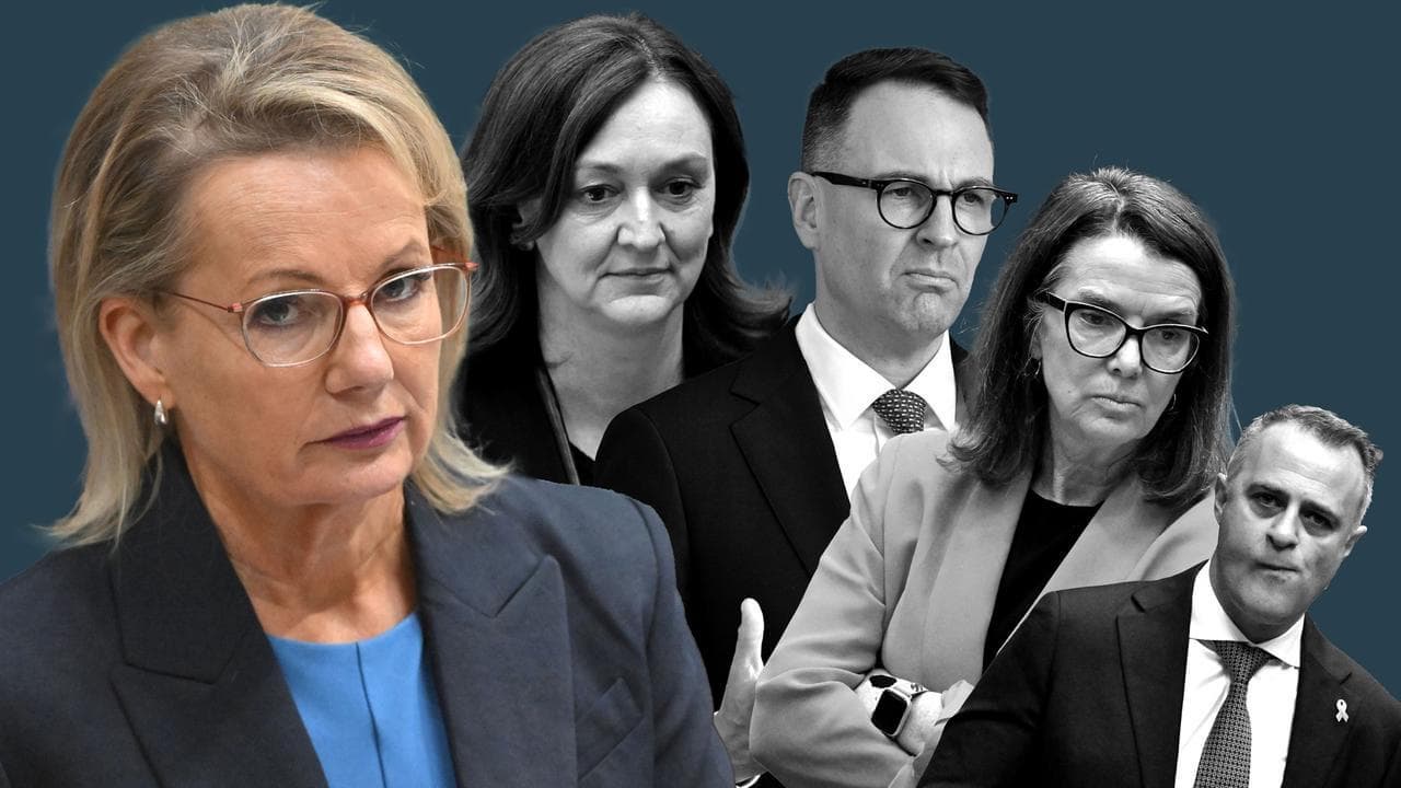 Polite discussion at noon: Libs to decide energy policy