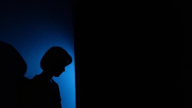 Hundreds charged in police domestic violence crackdown