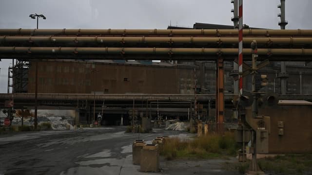 Worker killed after steel beam strike at major plant