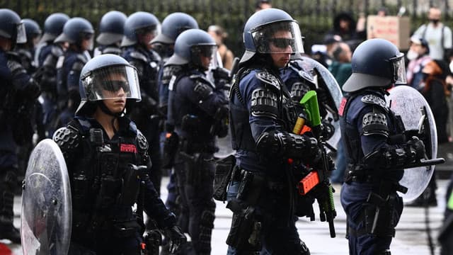 Neo-Nazi taken into detention and awaiting deportation