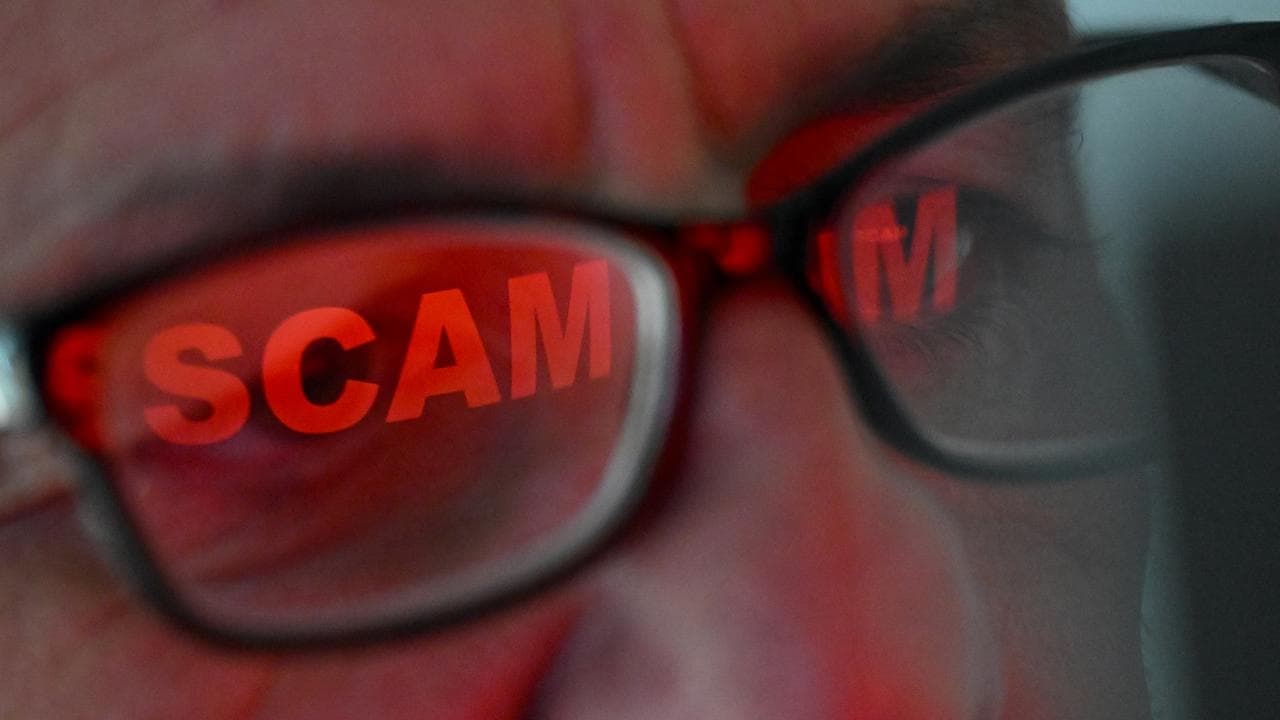 'Numbers game': shopping scammers profit on sales craze