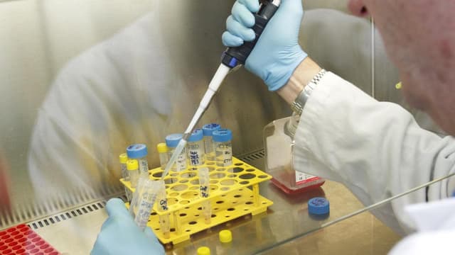 Oncology company reports promising cancer find