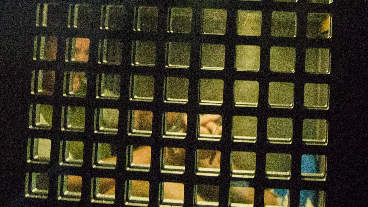 Notorious prison escapee's legal bid for freedom fails