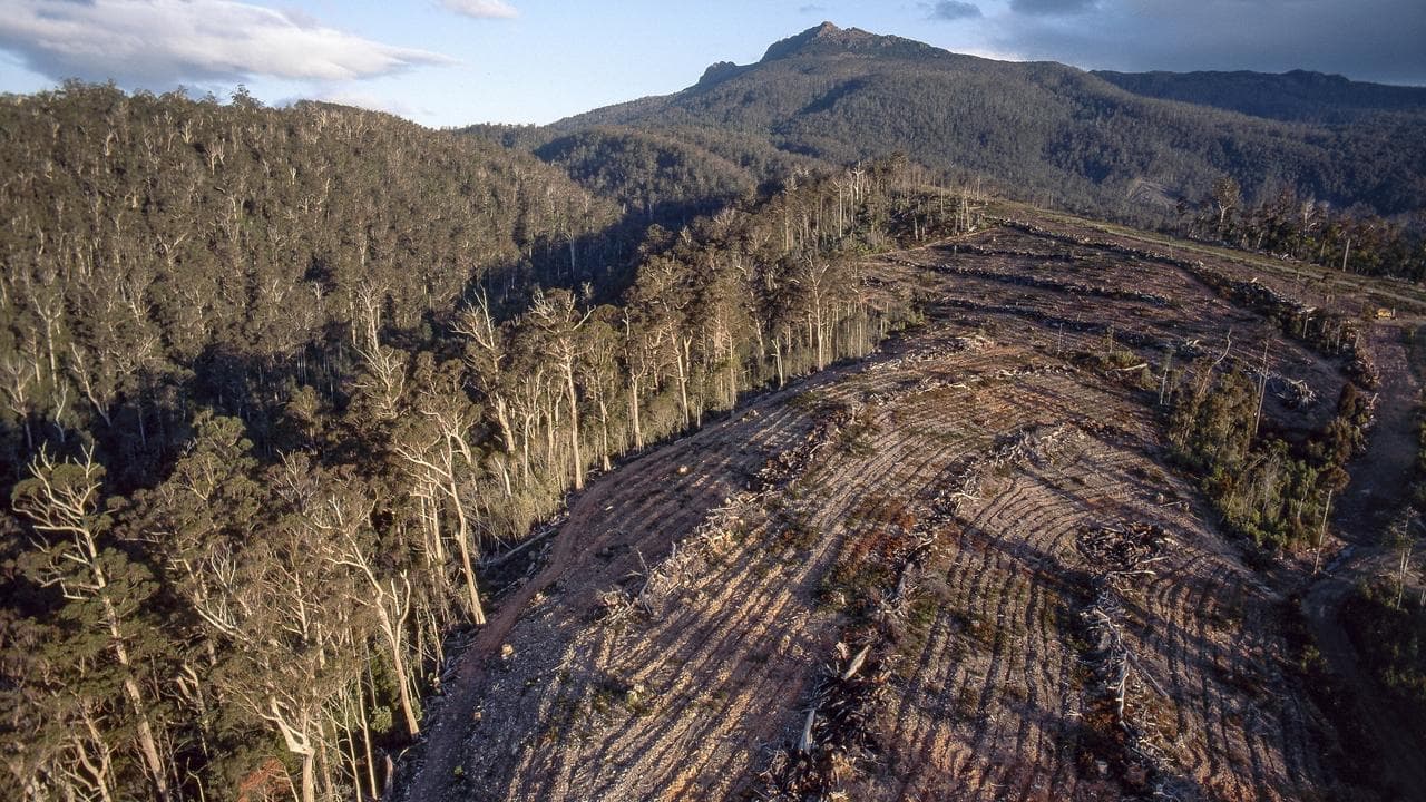 D-day looms for nature overhaul but final deal elusive