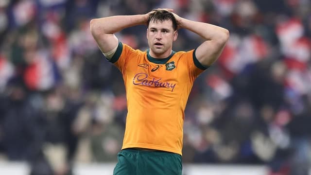 Wallabies apologise as pressure mounts on Schmidt