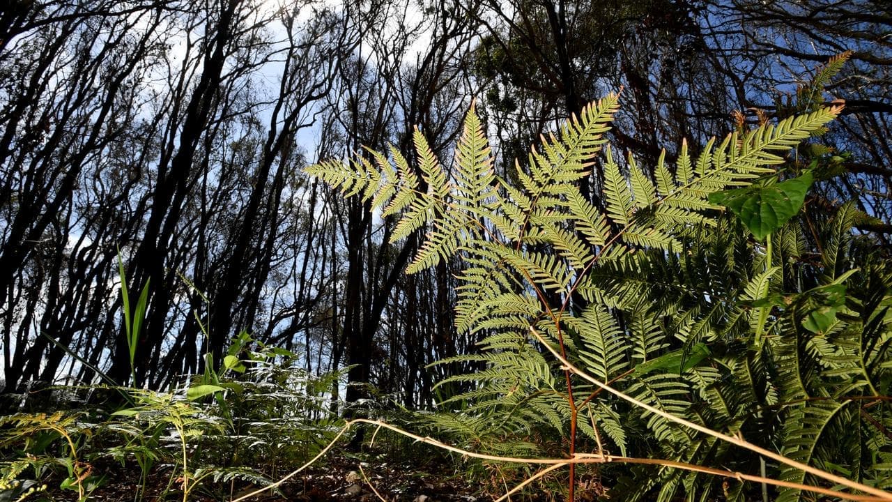 New offers made as clock starts ticking on nature talks