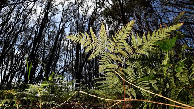 New offers made as clock starts ticking on nature talks