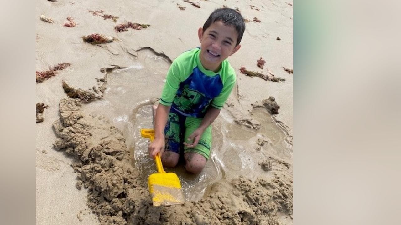 Woman, 84, allegedly drove off after boy hit and killed