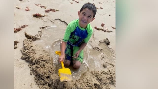 Woman, 84, allegedly drove off after boy hit and killed