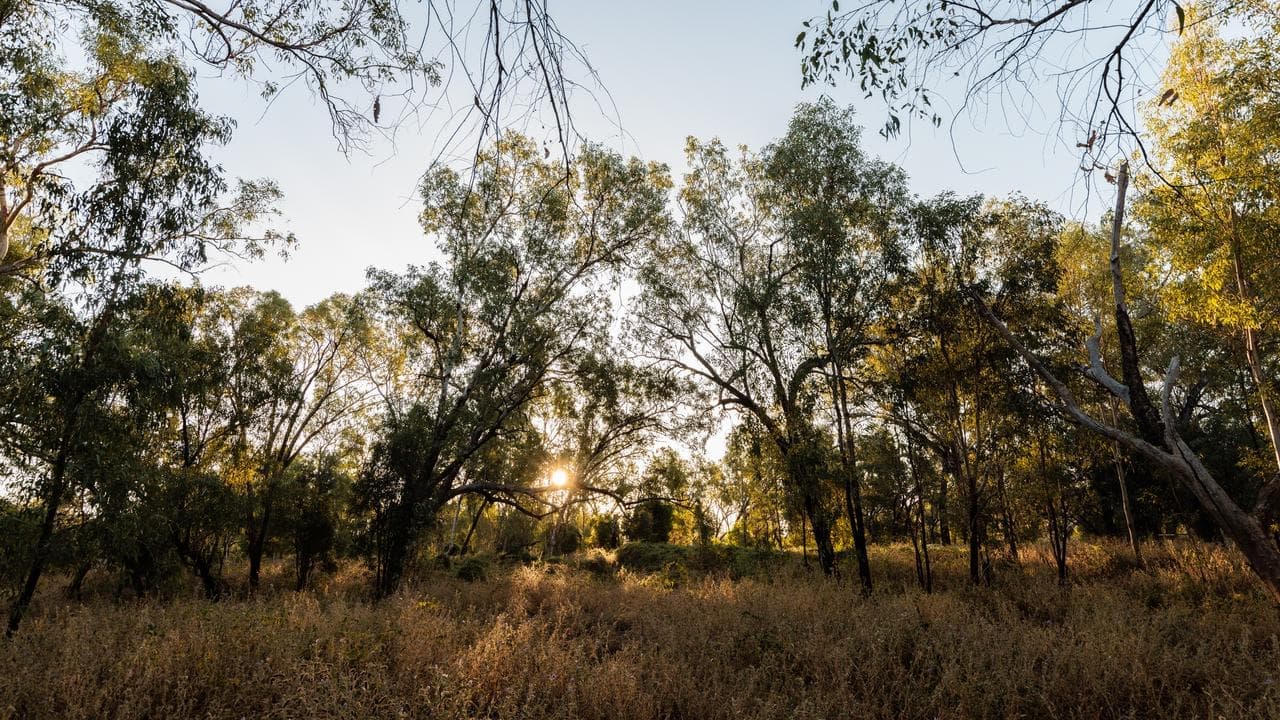 Environment reforms to pass after Labor-Greens deal