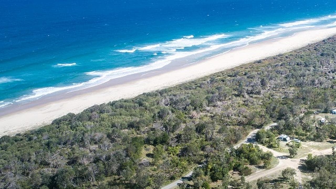 Woman dead but man heroically saved after shark attack