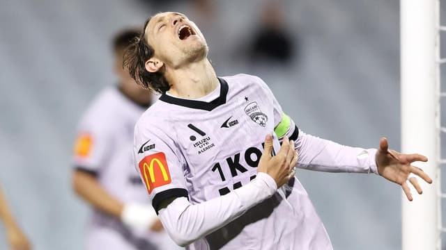 Phoenix quell Socceroo to bank key win before NZ derby