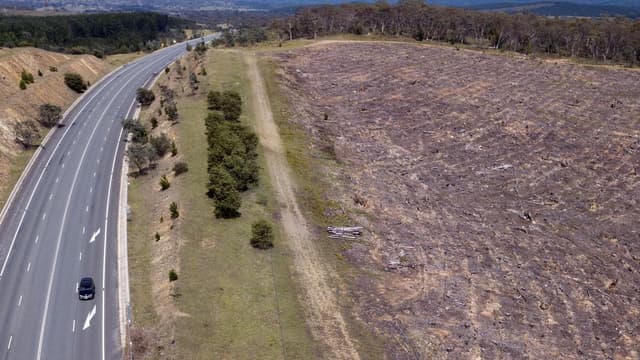 Ag bosses told of land clearing reforms at last minute