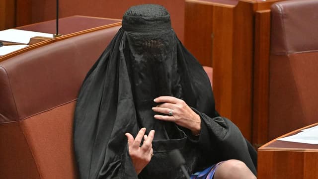 One Nation senator slapped down over sharia law rant