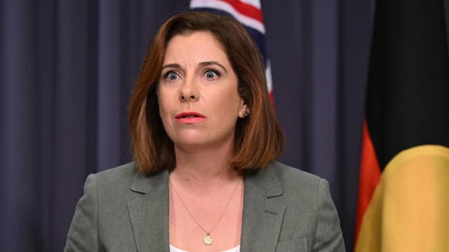 Minister under fire for $100k NY trip to spruik laws