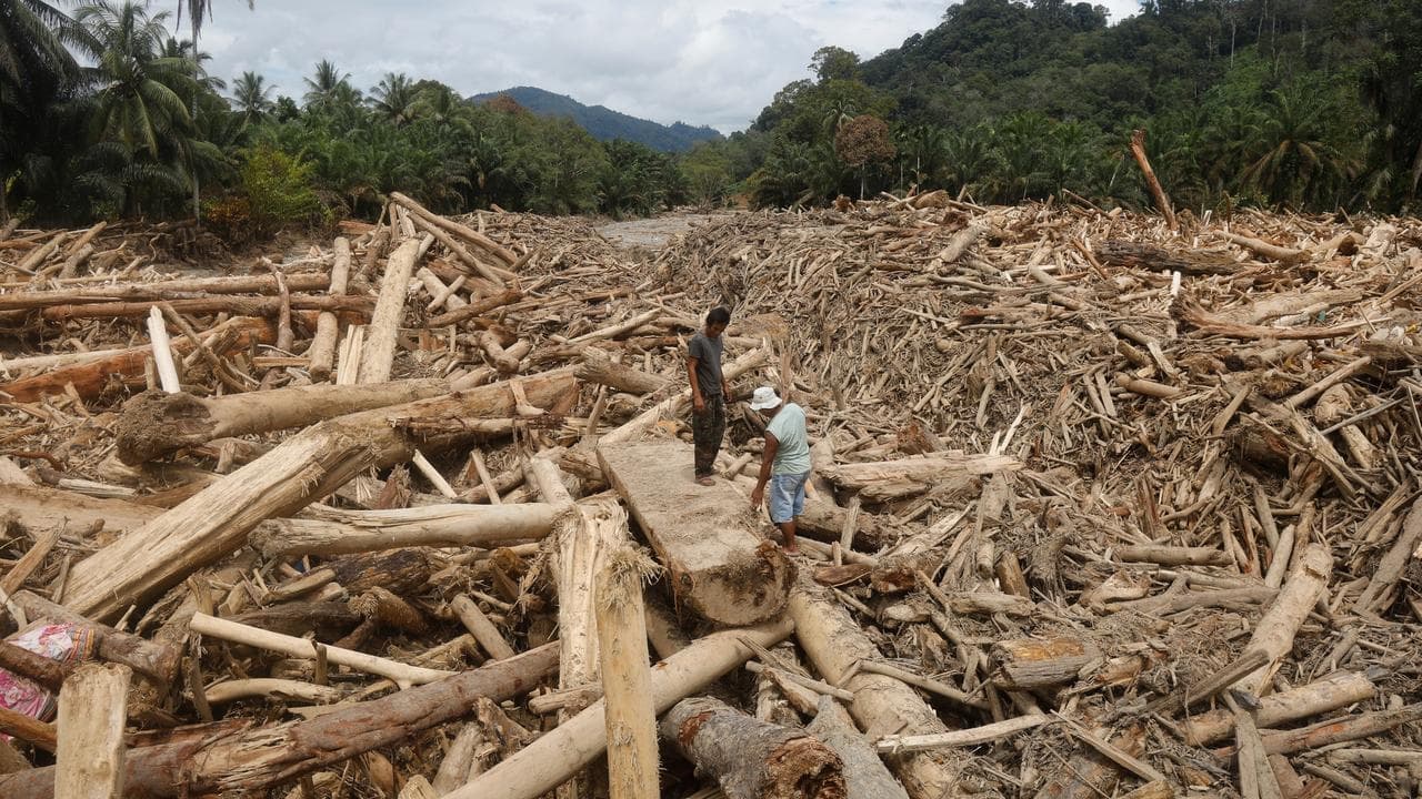 Deforestation in spotlight as Asia flood toll hits 1500