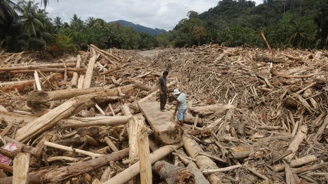 Deforestation in spotlight as Asia flood toll hits 1500