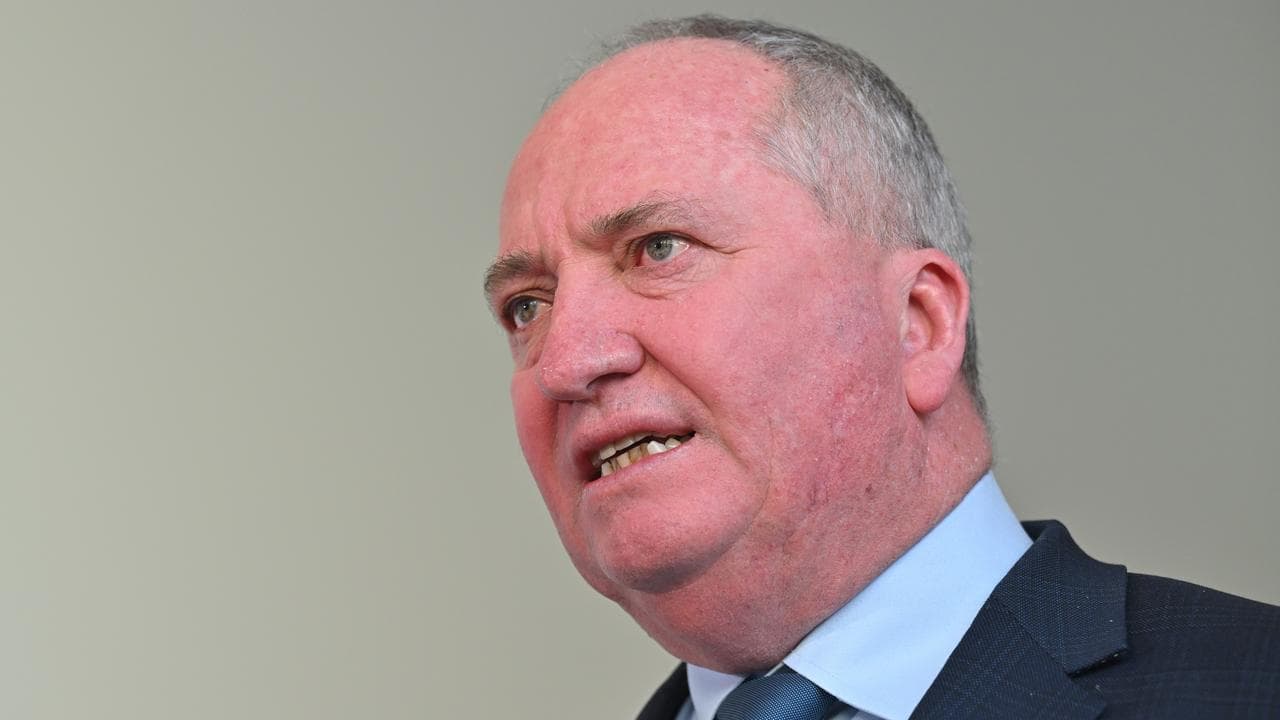 One Nation set to capitalise on Barnaby Joyce defection