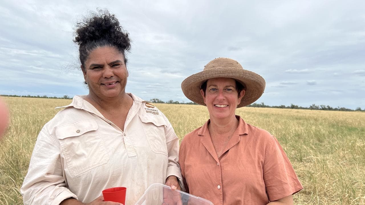 The smell of native grasses reviving women's knowledge